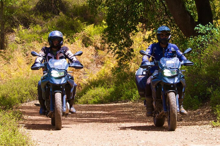 استمتع بالمغامرة على الطريق المفتوح